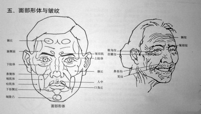 怎样才能画好人体素描？