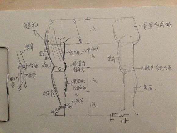 素描速写的基础教程：素描速写画人体结构图口诀技巧讲解