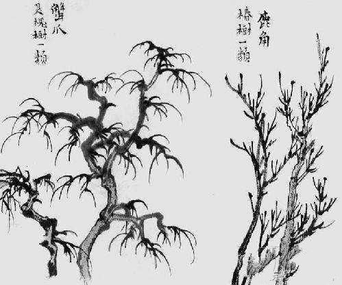 手把手教学画水墨画，中国画中松树竹子的画法简介！