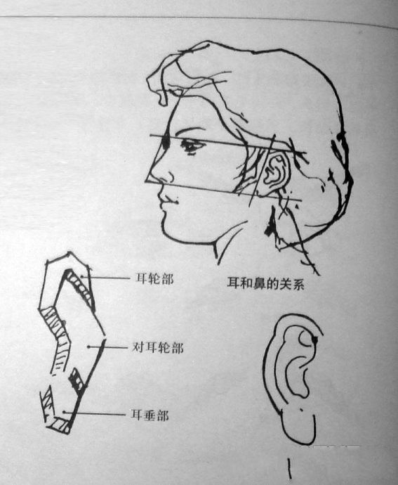 怎样在短时间内学好素描？素描基础教程和素描基础知识的讲解