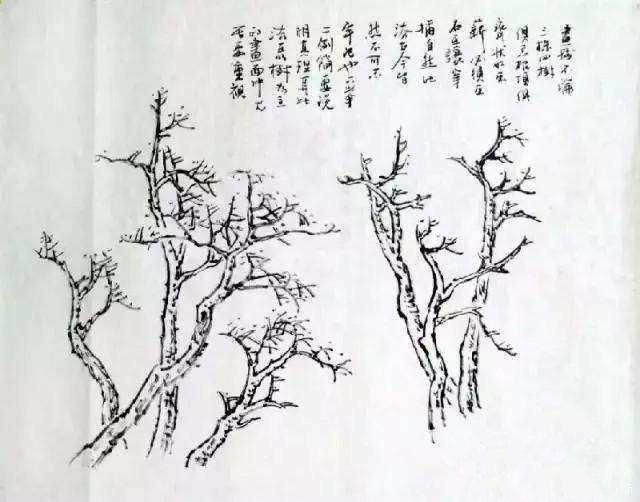 手把手教学画水墨画，中国画中松树竹子的画法简介！