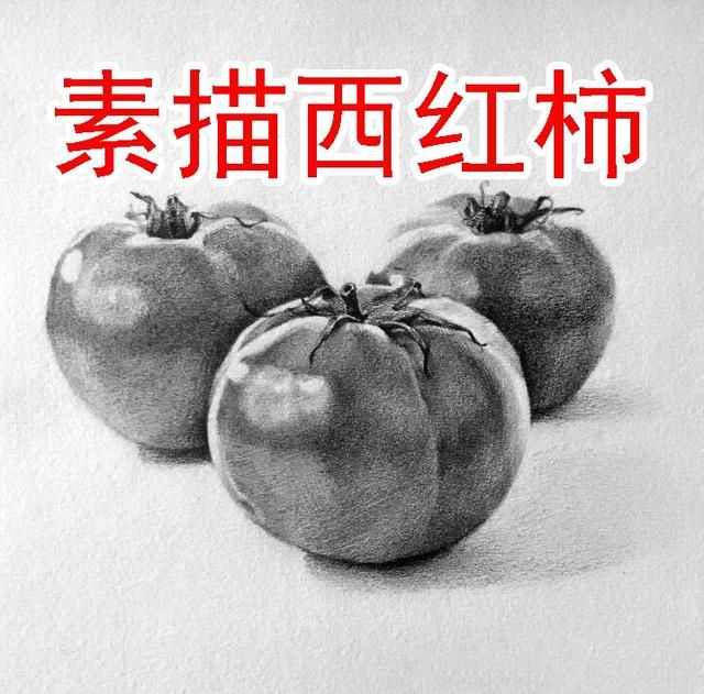 第十三课，素描组合静物西红柿怎么画