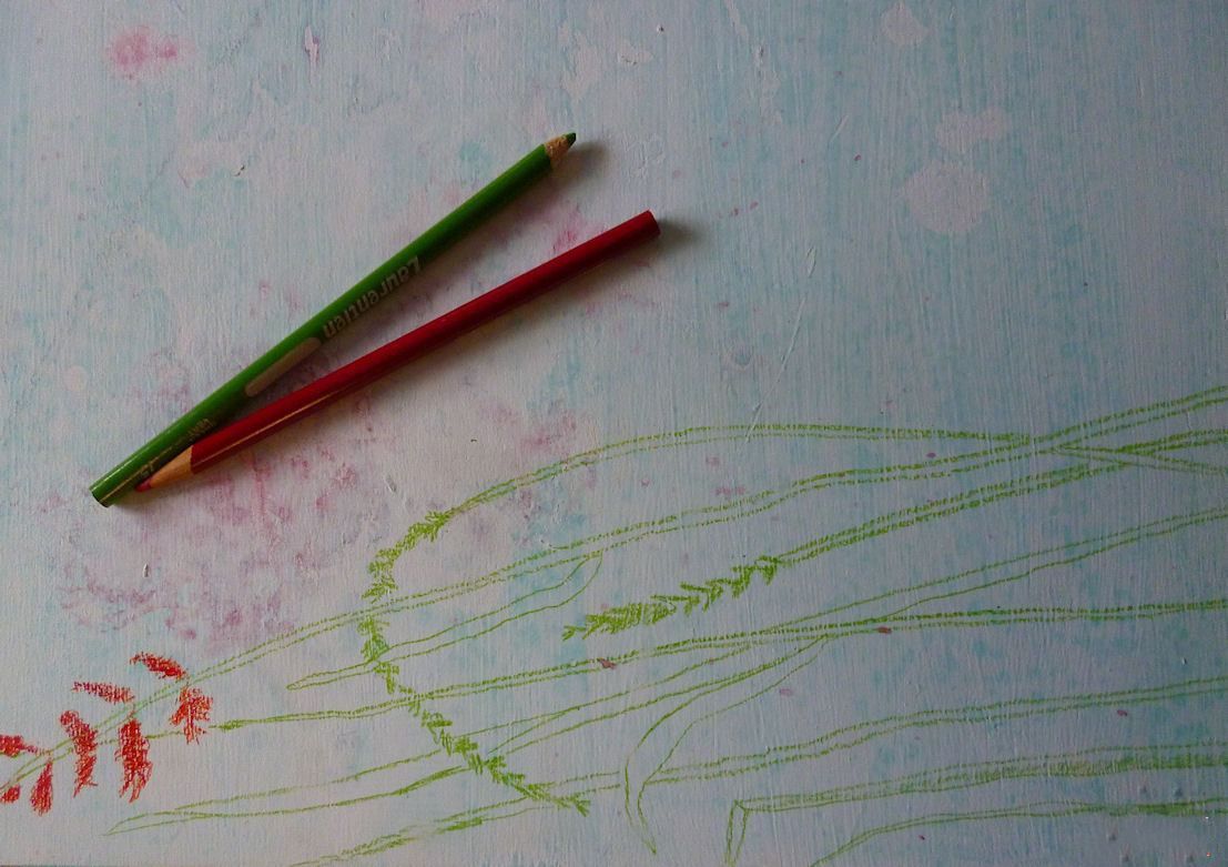 我画的前景与着色蜡笔,一些香草和鲜花。