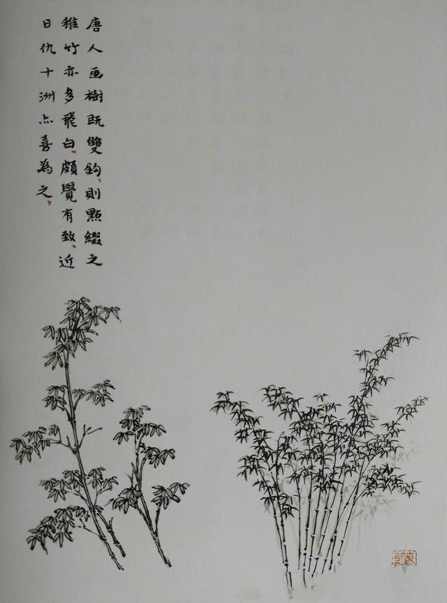 从唐到元名家画芭蕉梧桐棕竹芦苇，点桃梅杏花等十七画法