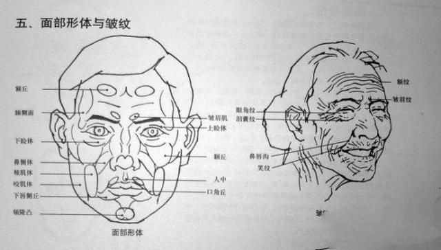 怎样在短时间内学好素描？素描基础教程和素描基础知识的讲解