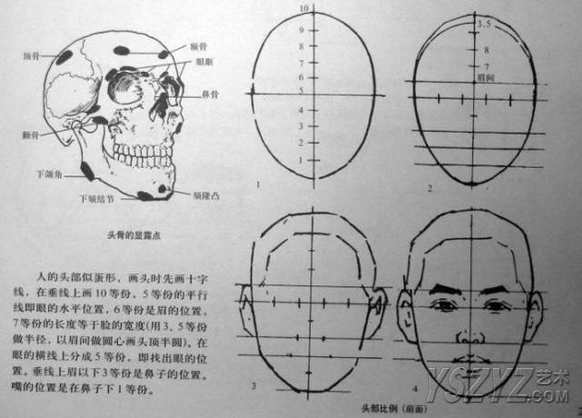 怎样在短时间内学好素描？素描基础教程和素描基础知识的讲解