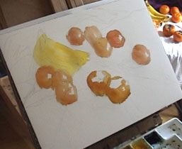 如何描绘了一幅水彩静物画,画的橘子和柿子设置完成,证明了勇陈
