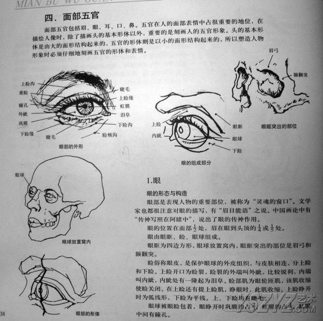 人体素描画法教程