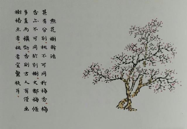 从唐到元名家画芭蕉梧桐棕竹芦苇，点桃梅杏花等十七画法