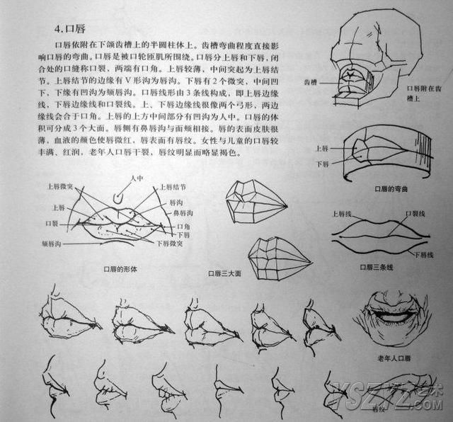 怎样才能画好人体素描？