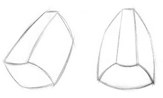 major planes of the nose, modelling the nose, drawing the nose