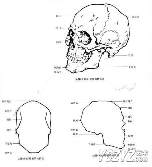 人体素描画法教程