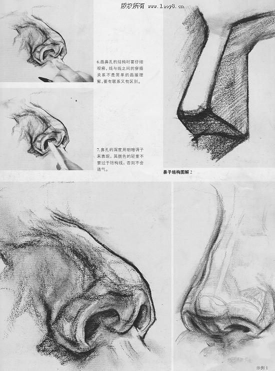 怎样在短时间内学好素描？素描基础教程和素描基础知识的讲解