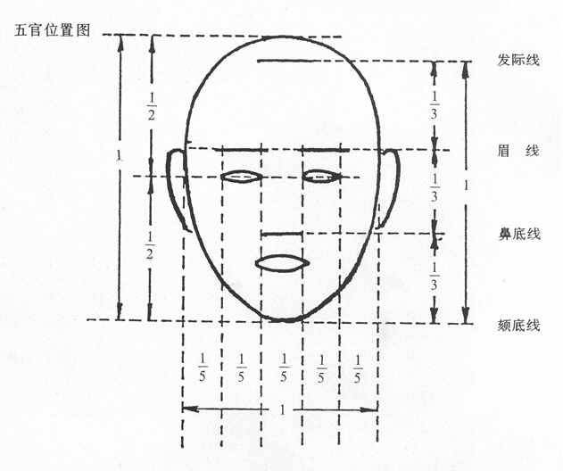 素描人像完整教材六