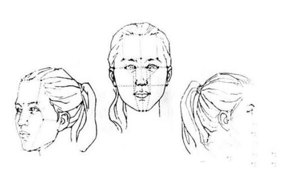 素描中联系褶皱、肌肉、腿、脚、手、手腕、头部、相对比例详解