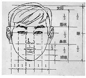 怎样才能画好人体素描？