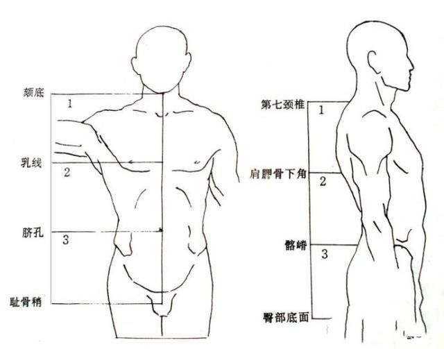 怎样在短时间内学好素描？素描基础教程和素描基础知识的讲解