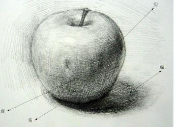 苹果静物素描