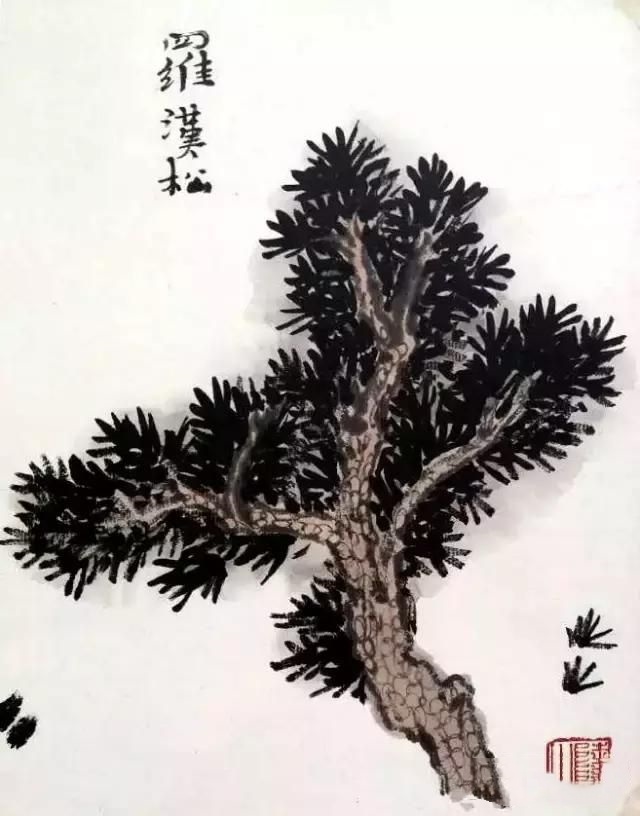 图文示范教程：松树，榆树，柳树的各种画法