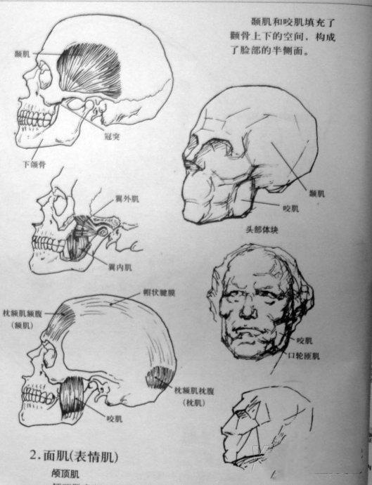 怎样在短时间内学好素描？素描基础教程和素描基础知识的讲解