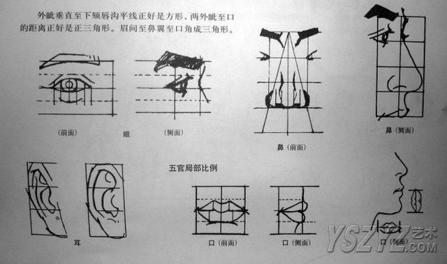 人体素描画法教程