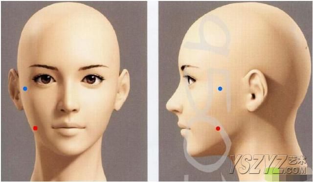 人体素描之脚、肖像头部、关节、腿部、手、手臂、身体的运动