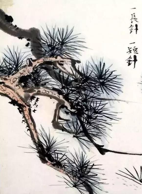 图文示范教程：松树，榆树，柳树的各种画法