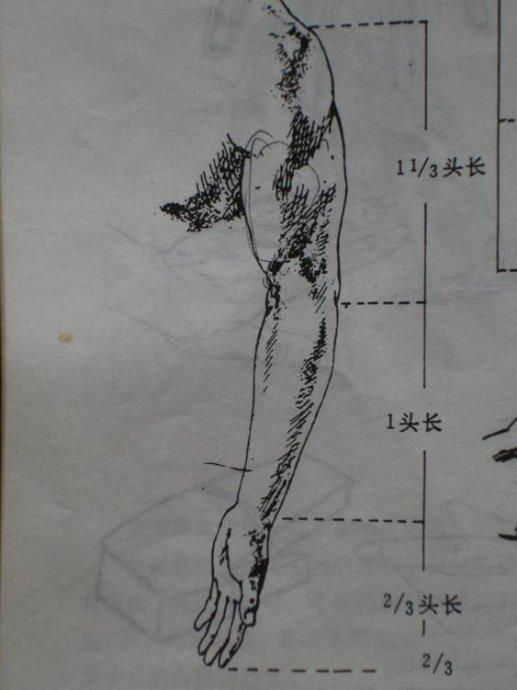 怎样在短时间内学好素描？素描基础教程和素描基础知识的讲解