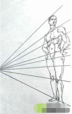 人体素描之画出人体基本外形、实际运用、透视法缩短、关节、躯干