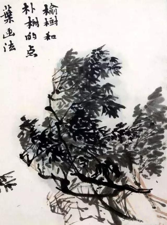 图文示范教程：松树，榆树，柳树的各种画法