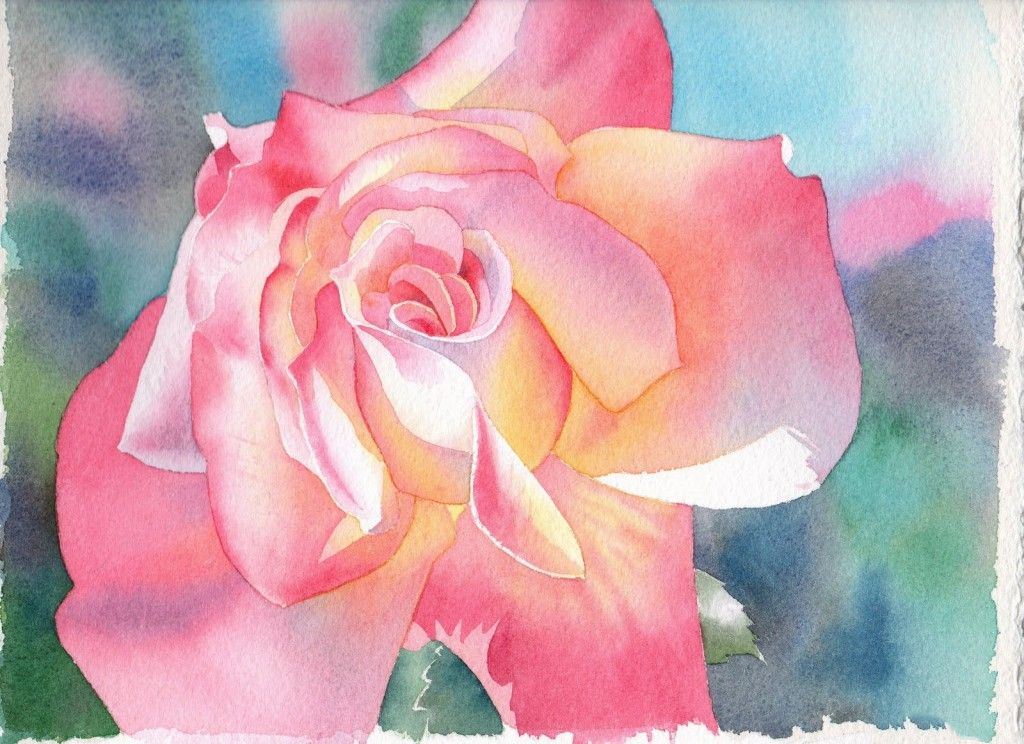 玫瑰的绘画技法6 1024 x744