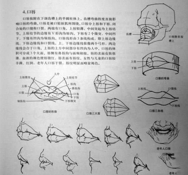 怎样在短时间内学好素描？素描基础教程和素描基础知识的讲解