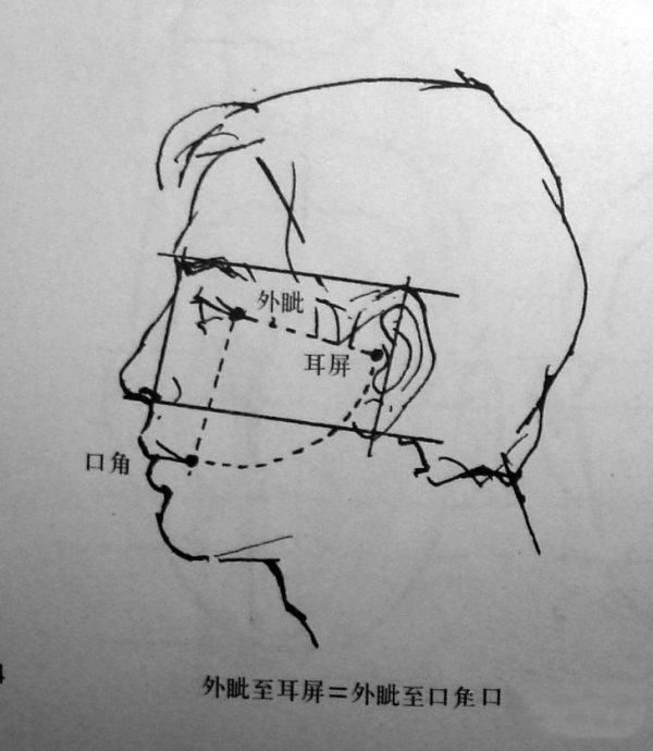 怎样在短时间内学好素描？素描基础教程和素描基础知识的讲解