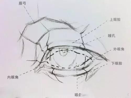 分析：素描眼睛的刻画细节