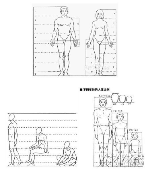 素描教程 半身像 从认识到掌握分层次讲解，容易理解和提升