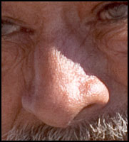 reference photo of nose, learning to draw the nose