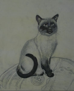 阻塞在黑人,画一只猫,猫的油画,如何画一只猫