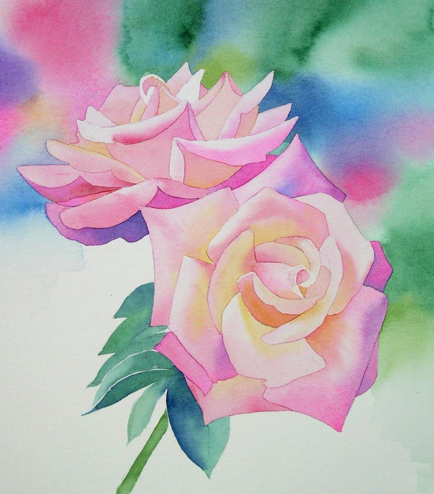 国外画家教程:粉红色玫瑰水彩画示范