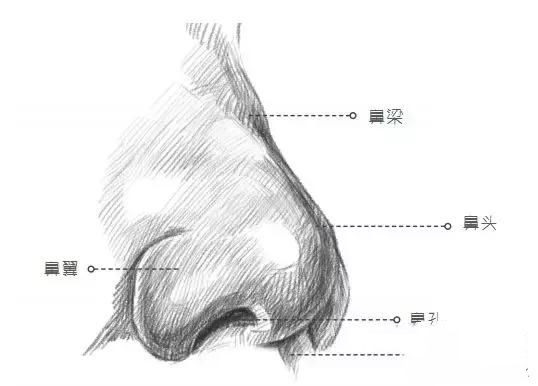 画素描