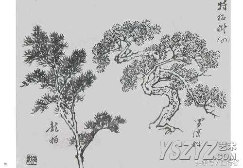 手把手教学画水墨画，中国画中松树竹子的画法简介！