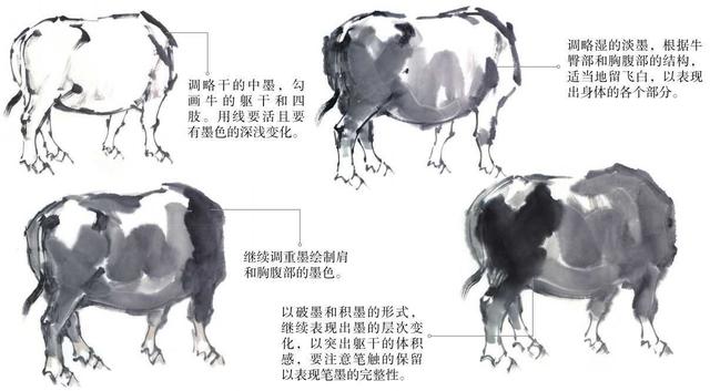 国画牛的基本画法-酷画网