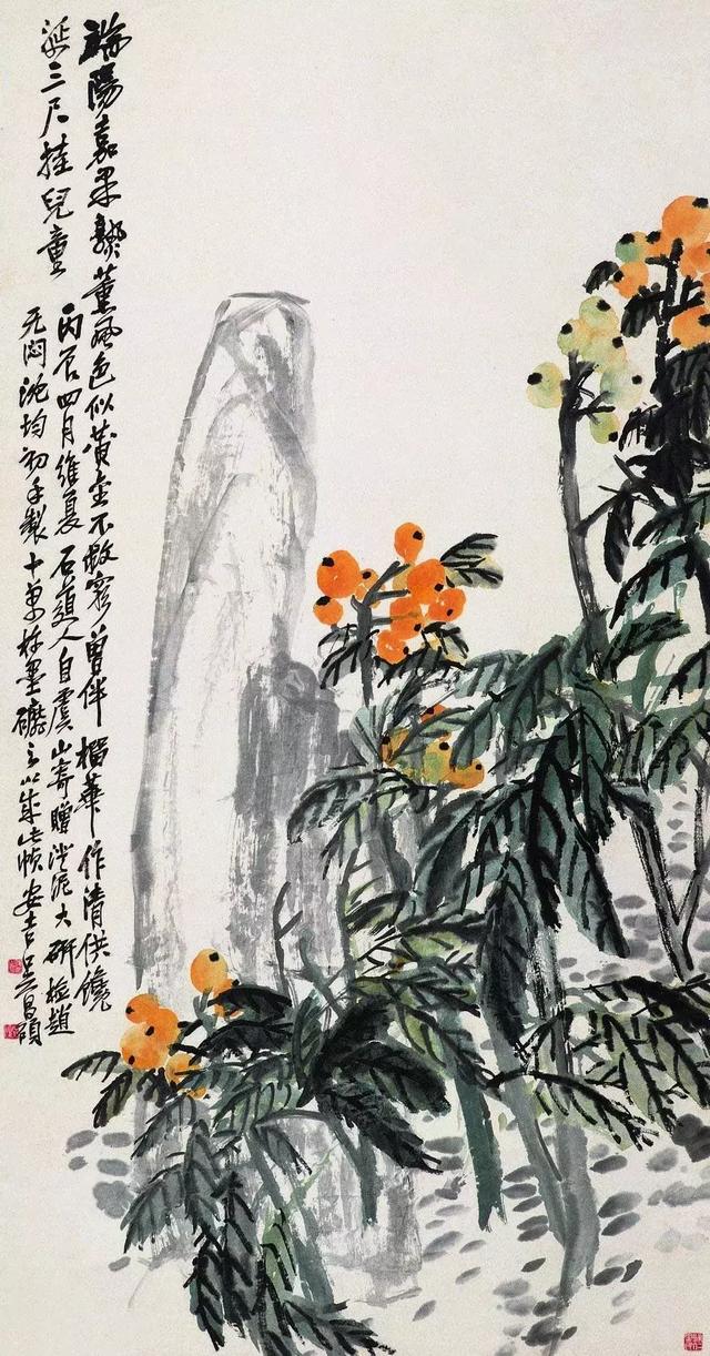 吴昌硕画枇杷