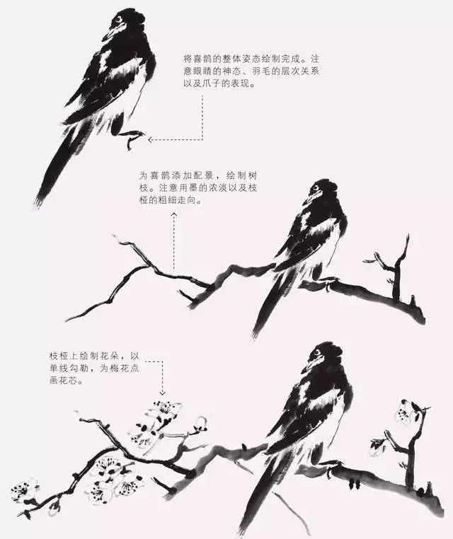 如何才能把鸟画好？