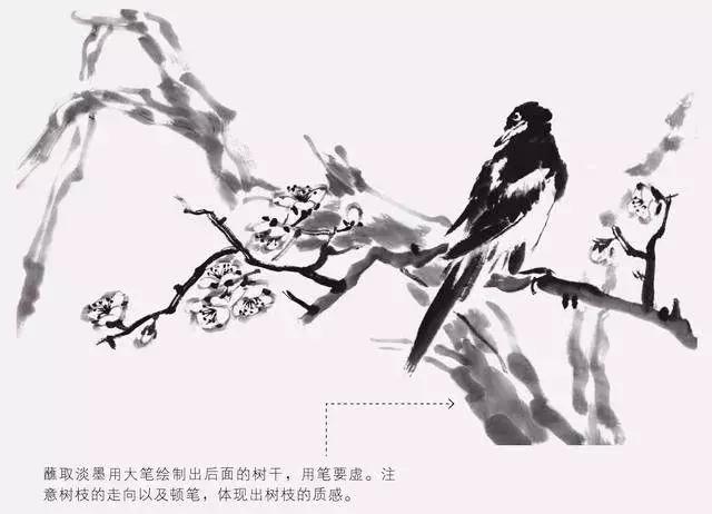 如何才能把鸟画好？