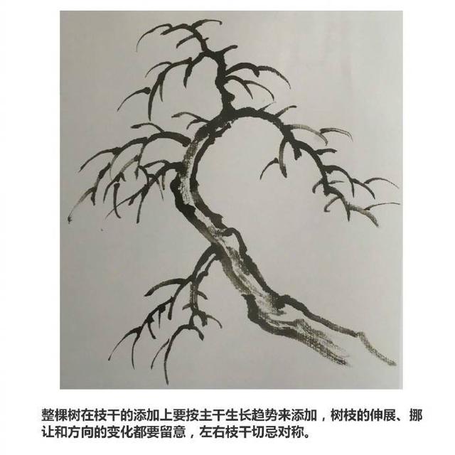 国画入门教程：蟹爪枝的画法讲解示范！