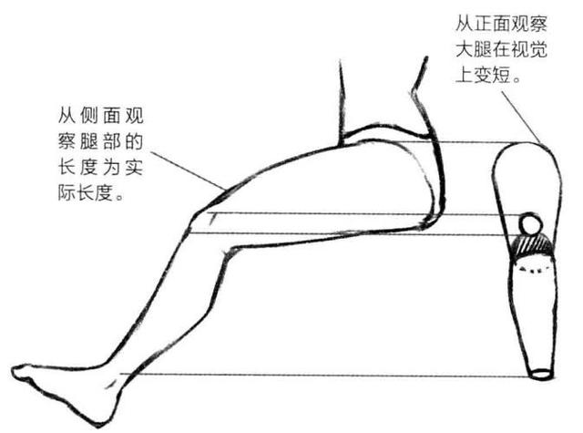 「推荐」如何画好人体透视？动漫人物各个角度透视的画法