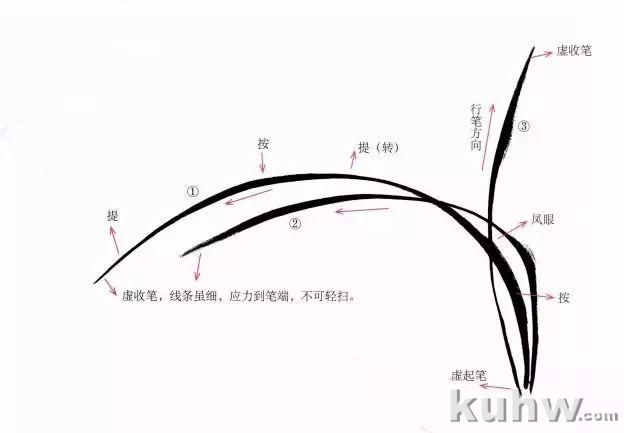 国画兰花画法示范