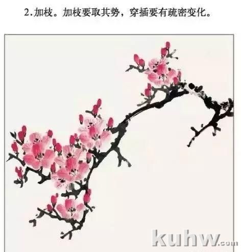 海棠花、杜鹃花的画法和上色