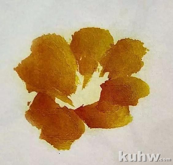 丝瓜和丝瓜花的画法