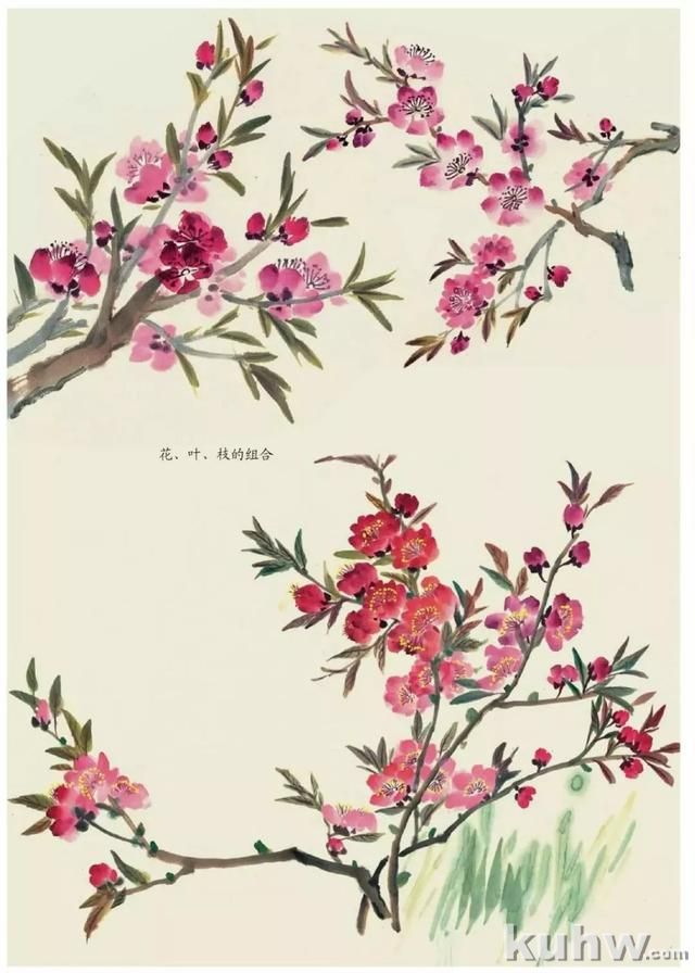 国画技法｜各种花卉的写意画法